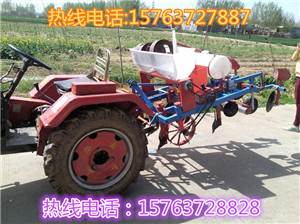 直销新型花生玉米播种机  花生起笼播种机  手扶花生播种机