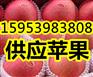 厦门红富士苹果现在多少钱一斤