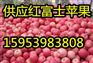 宜昌红富士苹果供应价格