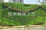 仿真植物墙厂家直销绿植物墙墙体绿化背景墙