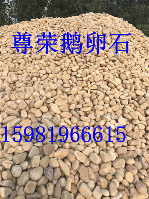 温州变电站鹅卵石参数 报价大全  鹅卵石厂家  鹅卵石报价