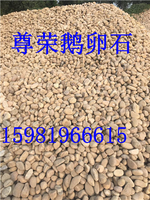 温州变电站鹅卵石参数 报价大全  鹅卵石厂家  鹅卵石报价