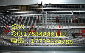 金兴加宽优质镀锌蛋鸡肉鸡用镀锌育雏笼