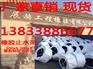 优良的遇水膨胀橡胶止水带供应商当属衡水展