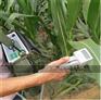托普云农3051D植物蒸腾测量系统