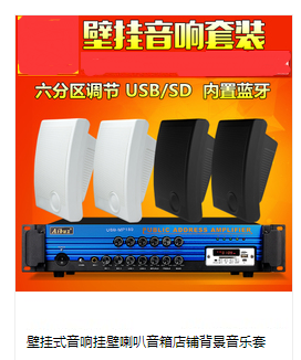 有源壁挂音响,广播有源壁挂音响  天花壁挂音箱  有源壁挂音箱