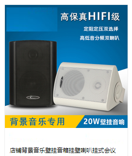 有源壁挂音响,广播有源壁挂音响  天花壁挂音箱  有源壁挂音箱