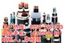 【精华现货厂家】CJPF86/SC电缆生产厂家