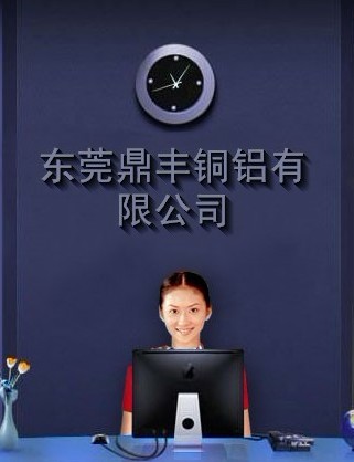 东莞鼎丰铜铝有限公司
