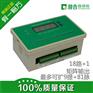 面板式脉冲控制仪，18路输出，1路卸灰