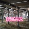新旺兴农养殖大棚1114种植大棚
