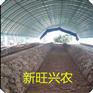 专业的团队精炼的安装技术新旺兴农保温大棚