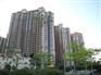 浙江岩多彩漆批发商|上哪买口碑好的岩彩漆