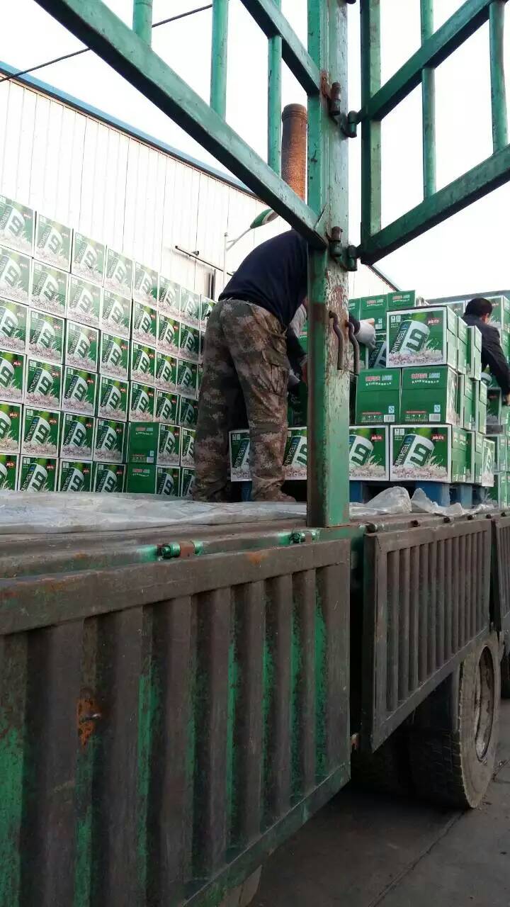 大瓶流通青岛九度箱装啤酒招商代理商  青岛九度啤酒  流通啤酒  大瓶九度啤酒