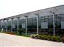 新型智能温室工程建造技术哪家好，内蒙古新
