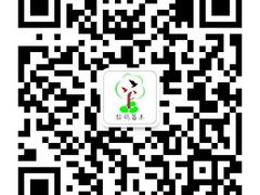 赣州优惠的八月桂苗哪有卖|丹桂图专卖店  半枫荷