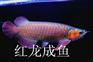 济南水草缸定做