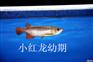 济南鱼缸清洗
