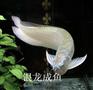 济南水族用品专业销售