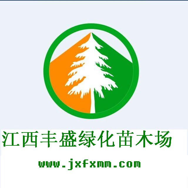 奉新县丰盛苗木场