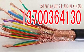 桦甸ZRDJYVP阻燃计算机电缆生产  桦甸ZRDJYVP电缆