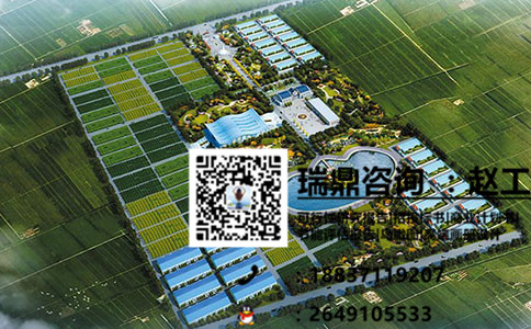 福建做标书投标书编写力荐瑞鼎