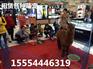 滨州&有出租活体企鹅展览的