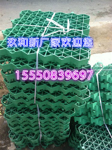连云港植草格规格齐全，欢迎选购！