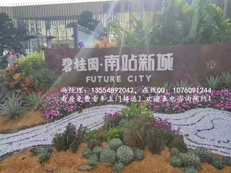 碧桂园南站新城