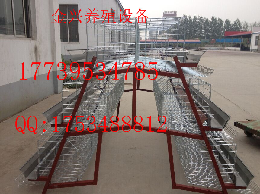 阶梯式肉鸡笼  清粪机  自动上料机