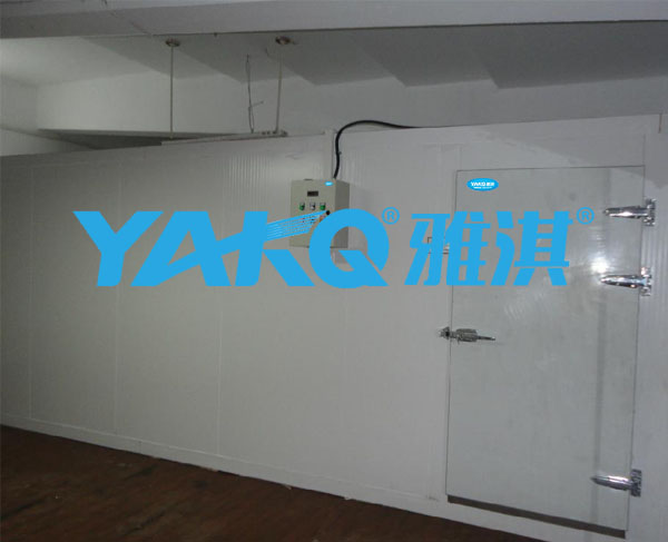 中山蔬菜冷库，水果保鲜库，雅淇小型恒温冷库