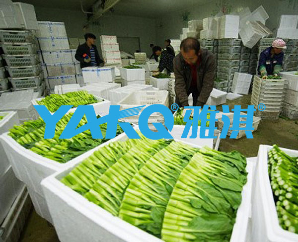 中山蔬菜冷库，水果保鲜库，雅淇小型恒温冷库