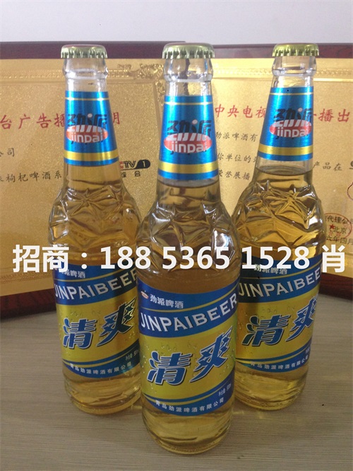 啤酒加盟500ml商超酒店  啤酒招商  18853651528  啤酒代理