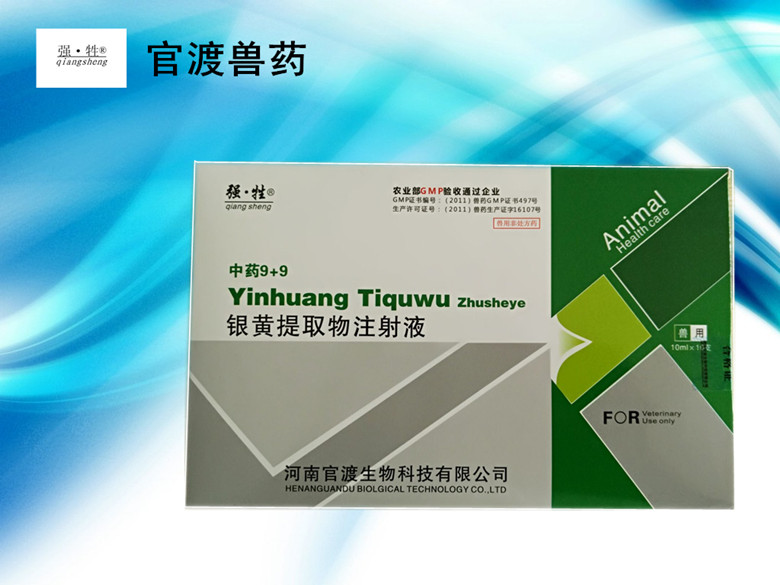 河南禽药生产厂家 银黄提取物注射液  河南猪药生产厂家