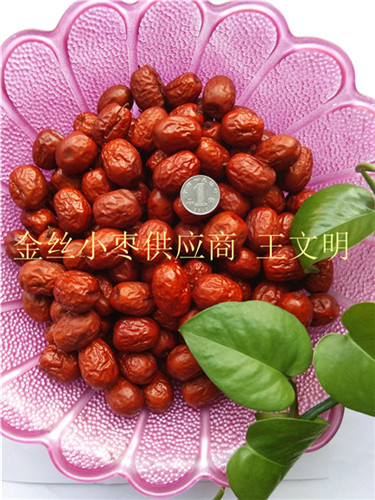 当年乐陵金丝小枣产地低价销售  山东金丝小枣产地  乐陵金丝小枣基地  金丝小枣供应商