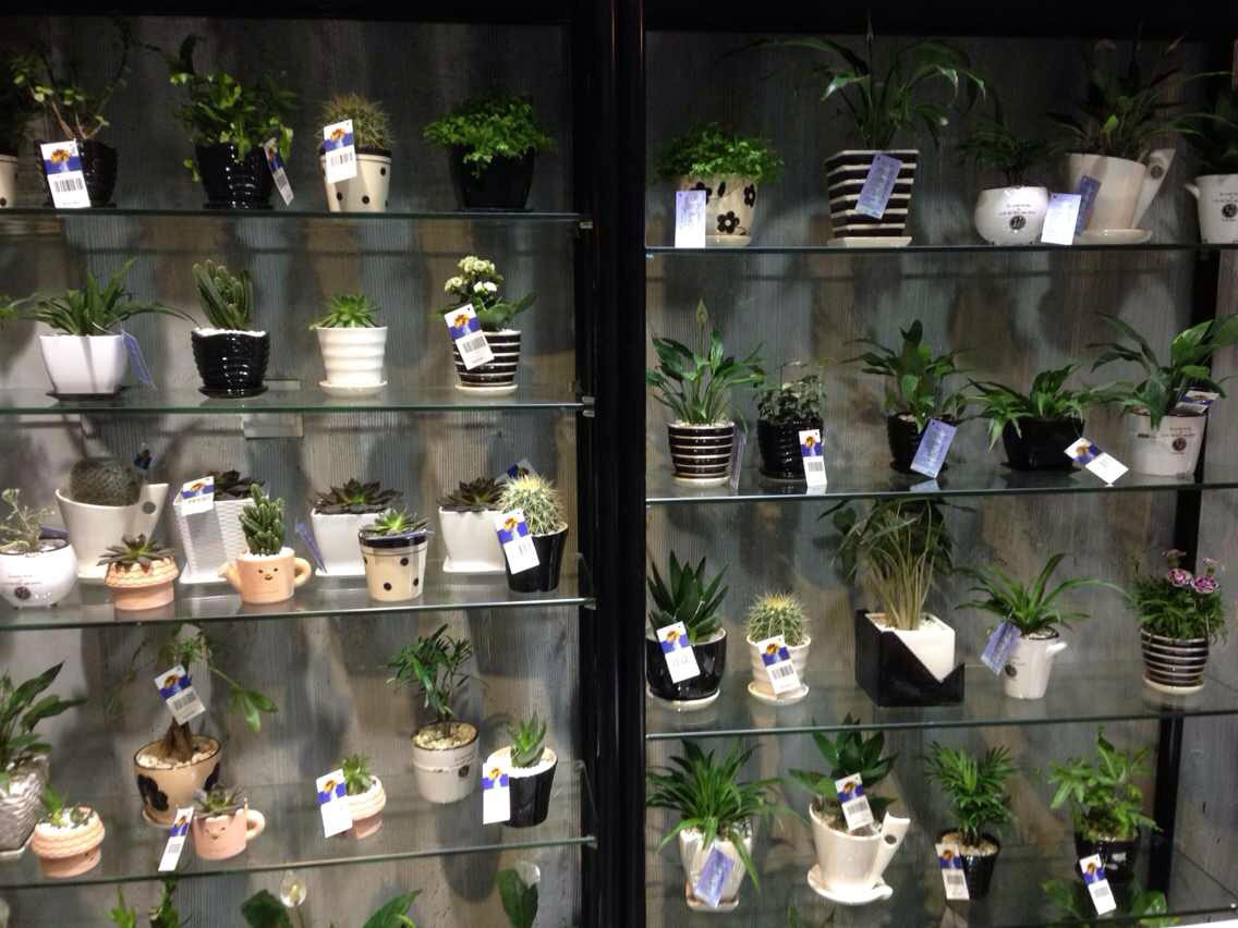 安徽花店培训在哪里 漯河花店培训&nbsp;&nbsp;开花店培训