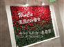 仿真植物墙摄影背景墙玫瑰花墙装饰