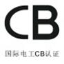 阿尔法锂电池商品质检报告