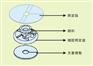 引流导管固定器