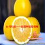 哪里有正宗葡萄柚苗|甜葡萄柚苗价格