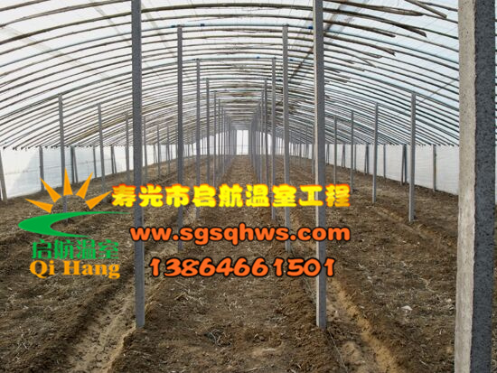 大棚建设   有立柱蔬菜拱棚&nbsp;&nbsp;温室大棚建设&nbsp;&nbsp;蔬菜大棚建设