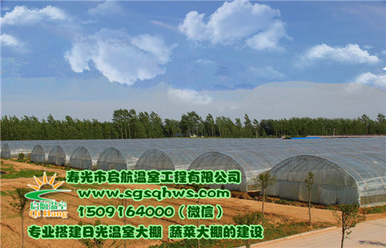 大棚建设   有立柱蔬菜拱棚&nbsp;&nbsp;温室大棚建设&nbsp;&nbsp;蔬菜大棚建设