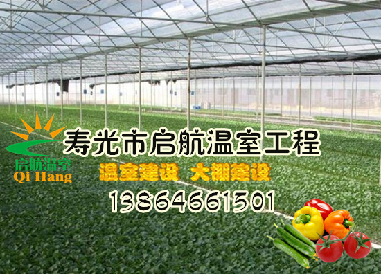 智能温室  薄膜连栋智能温室&nbsp;&nbsp;智能温室建设&nbsp;&nbsp;日光温室建设
