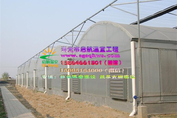智能温室  薄膜连栋智能温室&nbsp;&nbsp;智能温室建设&nbsp;&nbsp;日光温室建设