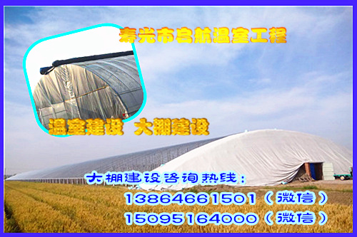 日光温室  冬暖式棉被拱棚&nbsp;&nbsp;温室建设&nbsp;&nbsp;温室工程建设