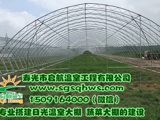 温室大棚建设  全钢架花梁花卉拱棚&nbsp;&nbsp;温室建设