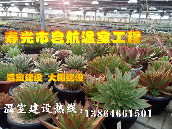 智能温室 玻璃连栋智能温室 智能温室建设 日光温室