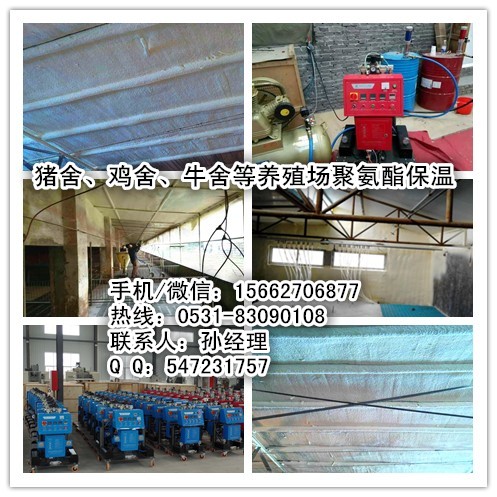 猪舍顶棚保温山东聚氨酯喷涂机发泡机  山东聚氨酯发泡机  猪舍顶棚保温发泡