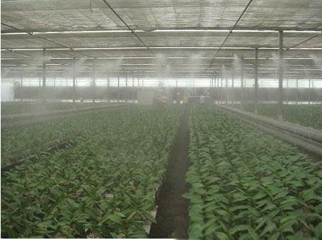 温室大棚加湿器 大棚种植喷雾加湿设备  高压微雾加湿器