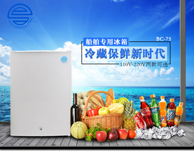 220V新款75L船用电冰箱  75L电冰箱  220V电冰箱